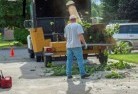 Barmahtree-felling-services-11.jpg; ?>
