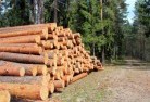 Barmahtree-felling-services-31.jpg; ?>